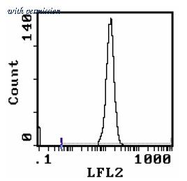 OriGene AM31858RP-N image 1