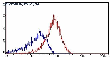 OriGene AM31864BT-N image 1
