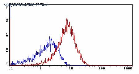 OriGene AM31864PU-N image 1