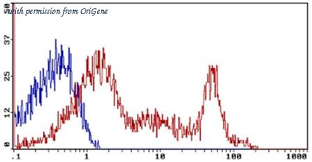 OriGene AM31873FC-N image 1