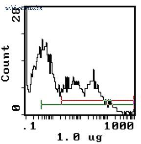 OriGene AM31873RP-N image 1