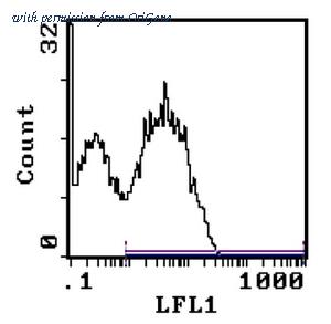 OriGene AM31877FC-N image 1