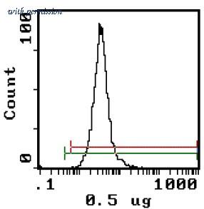 OriGene AM31884FC-N image 1