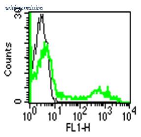 OriGene AM32426FC-N image 1