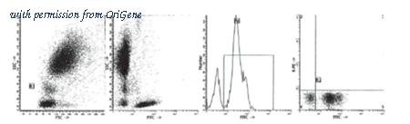 OriGene AM39007FC-N image 1