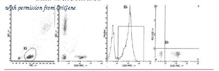 OriGene AM39009FC-N image 1