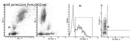 OriGene AM39017PC5-N image 1
