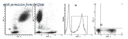 OriGene AM39020PU-N image 1