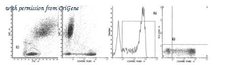 OriGene AM39022FC-N image 1