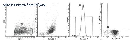 OriGene AM39027RP-N image 1
