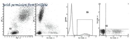 OriGene AM39032PU-N image 1