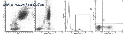 OriGene AM39033FC-N image 1