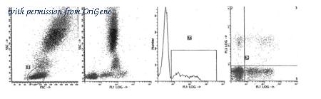 OriGene AM39034RP-N image 1
