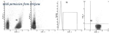 OriGene AM39036FC-N image 1