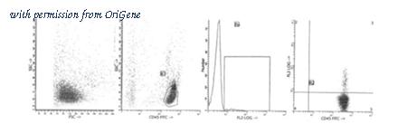 OriGene AM39037PU-N image 1