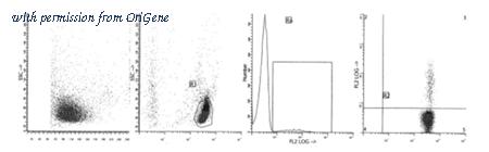 OriGene AM39041AC-N image 1