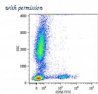 OriGene BM2401F image 1