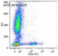 OriGene BM2401PP image 1