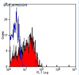 OriGene BM311 image 1