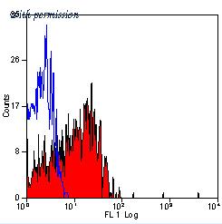 OriGene BM311PT image 1