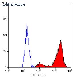 OriGene BM4000F image 1