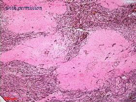 OriGene BM4018S image 1