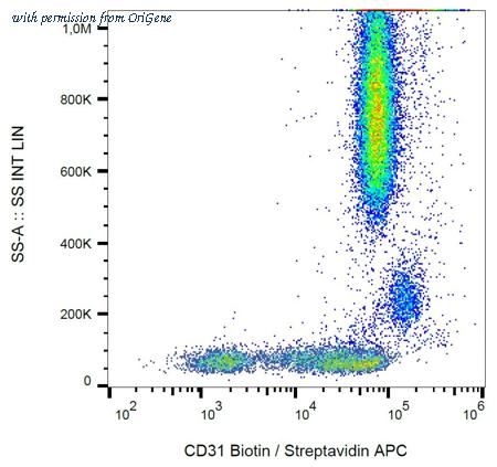 OriGene BM4047B image 1