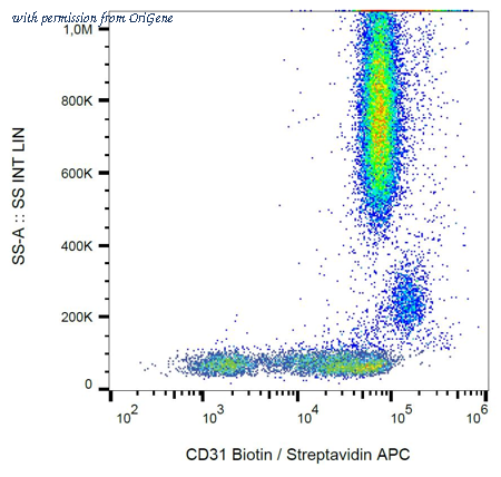 OriGene BM4047F image 1