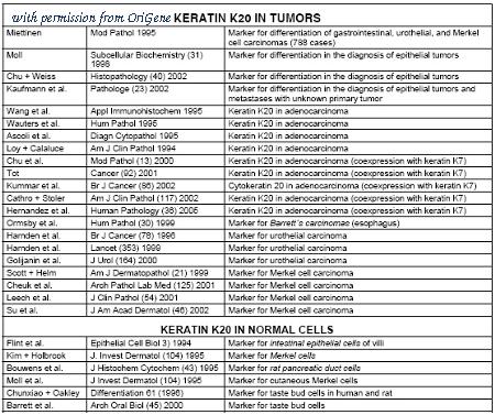 OriGene BM5504P image 1