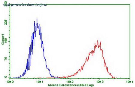 OriGene CF807864 image 1