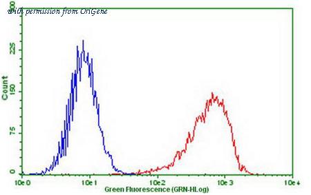 OriGene CF807866 image 1
