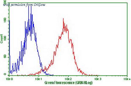 OriGene CF808749 image 1