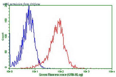 OriGene CF808752 image 1