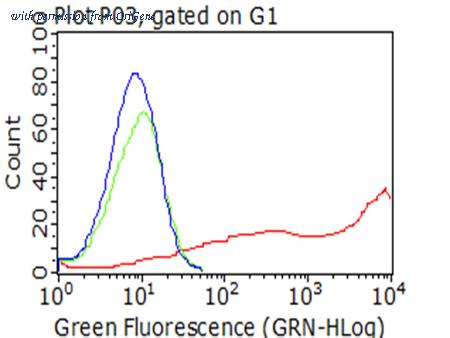 OriGene CF812226 image 1