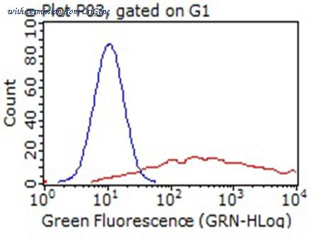 OriGene CF812230 image 1