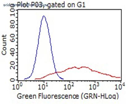 OriGene CF812237 image 1