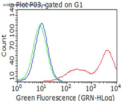 OriGene CF812574 image 1
