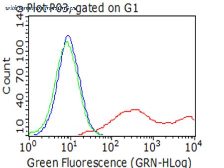 OriGene CF812580 image 1