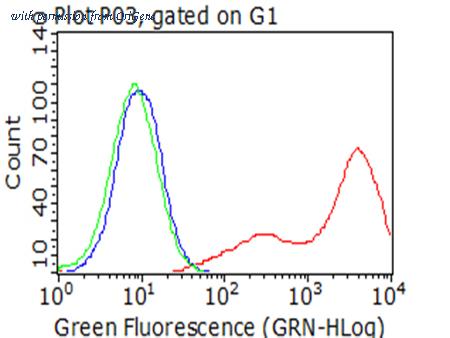 OriGene CF812581 image 1