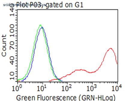 OriGene CF812587 image 1