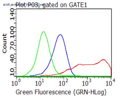 OriGene CF812676 image 1