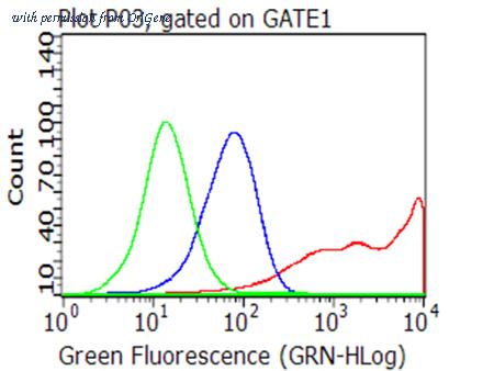 OriGene CF812679 image 1