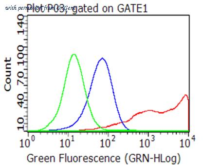 OriGene CF813200 image 1