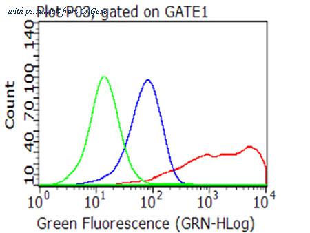 OriGene CF813203 image 1