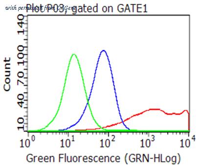 OriGene CF813211 image 1
