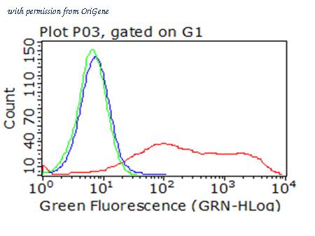OriGene CF813216 image 1