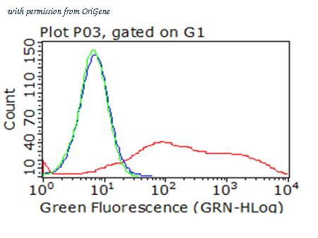 OriGene CF813217 image 1