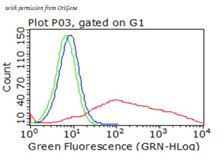 OriGene CF813218 image 1