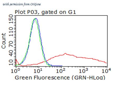 OriGene CF813219 image 1