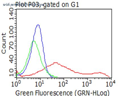 OriGene CF813225 image 1